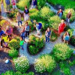 Non-Profit Charity Organizations