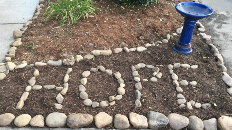 Why Charity Donations Are a Lifeline for Women Facing Homelessness